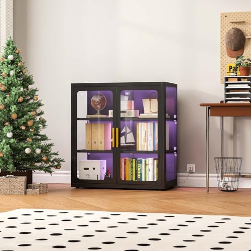 Vitrine mit Glastüren und RGB- – Glass Cabinet Display Bewertung und Preis
